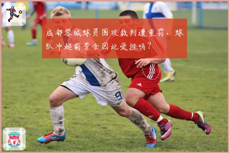 成都蓉城球员围攻裁判遭重罚，球队冲超前景会因此受挫吗？