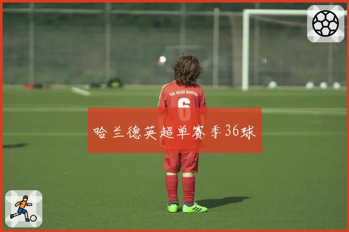 哈兰德英超单赛季36球