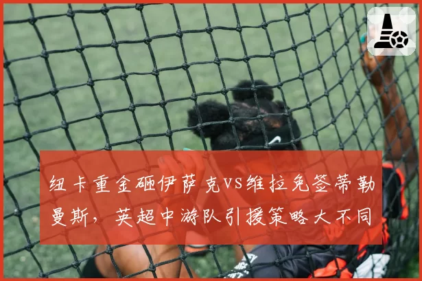 纽卡重金砸伊萨克vs维拉免签蒂勒曼斯，英超中游队引援策略大不同
