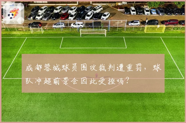 成都蓉城球员围攻裁判遭重罚，球队冲超前景会因此受挫吗？